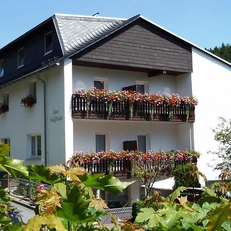 Pension Haus Waldfrieden, Meinecardplus Inklusive Willingen  Esterno foto
