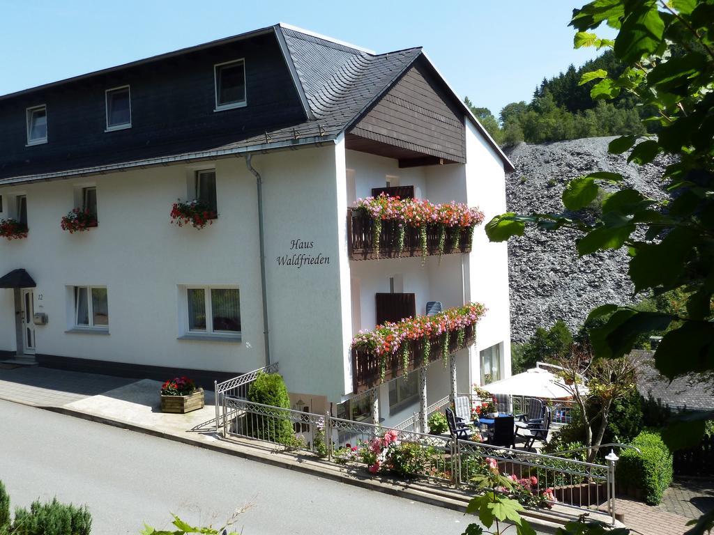 Pension Haus Waldfrieden, Meinecardplus Inklusive Willingen  Esterno foto
