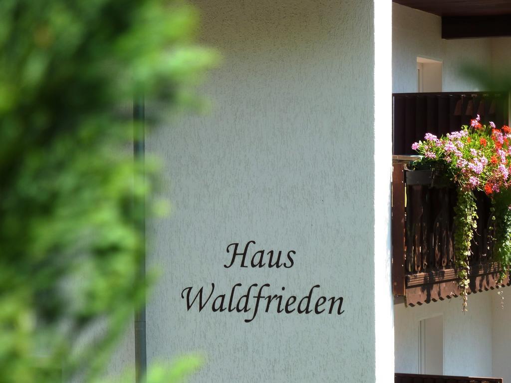 Pension Haus Waldfrieden, Meinecardplus Inklusive Willingen  Esterno foto