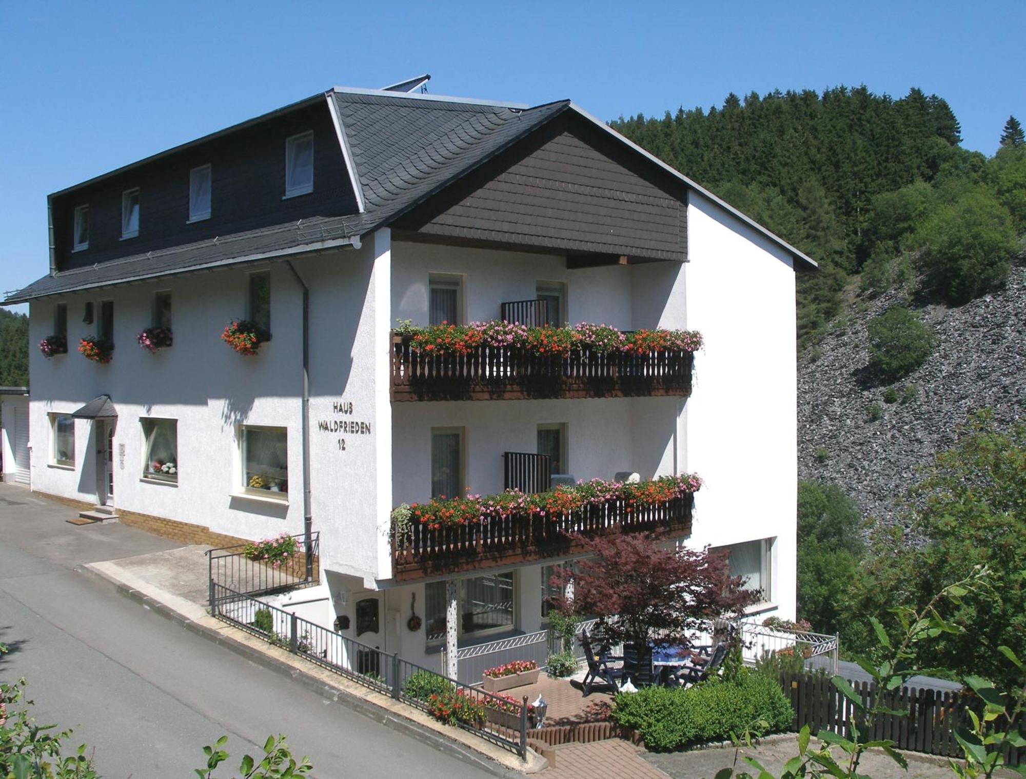 Pension Haus Waldfrieden, Meinecardplus Inklusive Willingen  Esterno foto