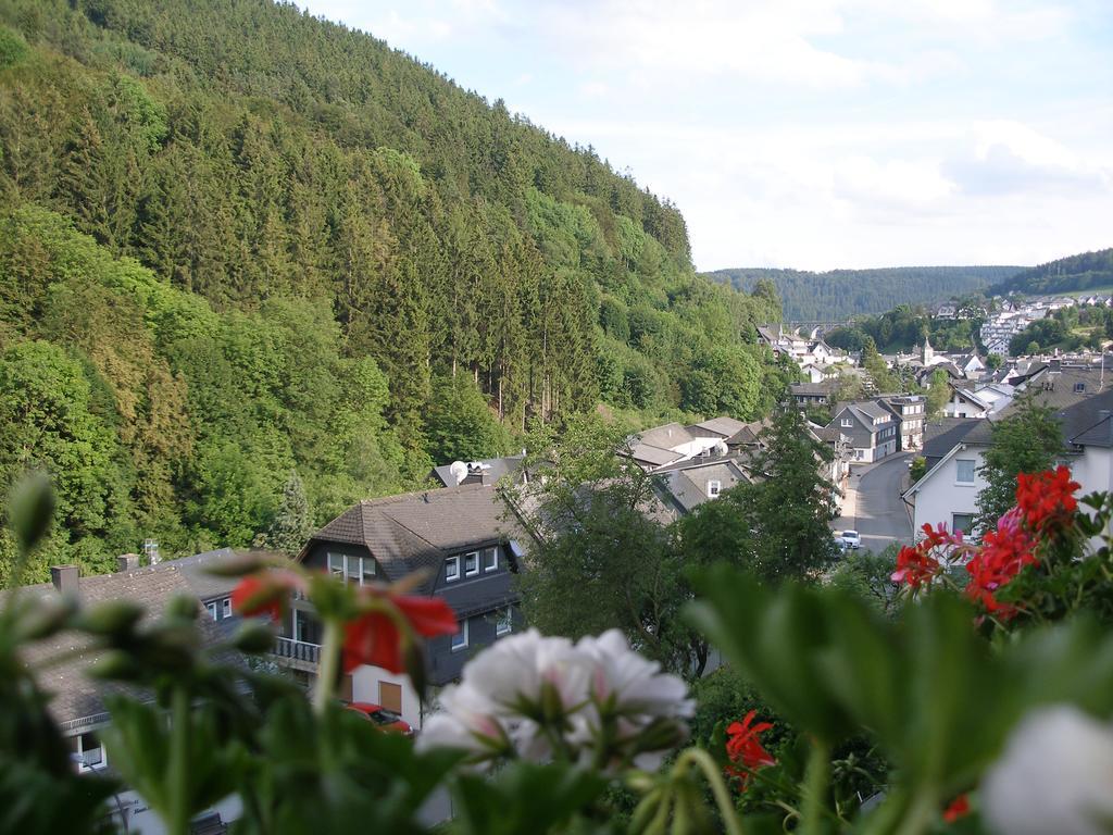 Pension Haus Waldfrieden, Meinecardplus Inklusive Willingen  Esterno foto
