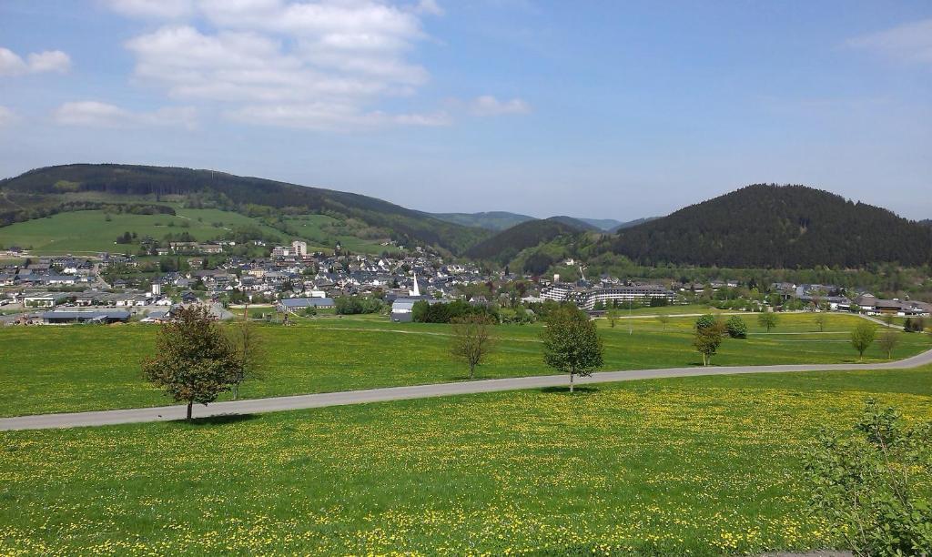 Pension Haus Waldfrieden, Meinecardplus Inklusive Willingen  Esterno foto