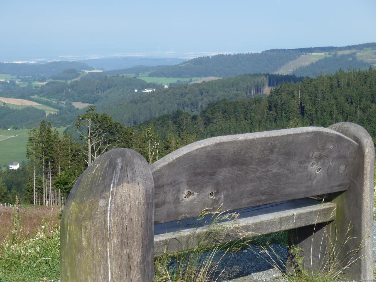 Pension Haus Waldfrieden, Meinecardplus Inklusive Willingen  Esterno foto