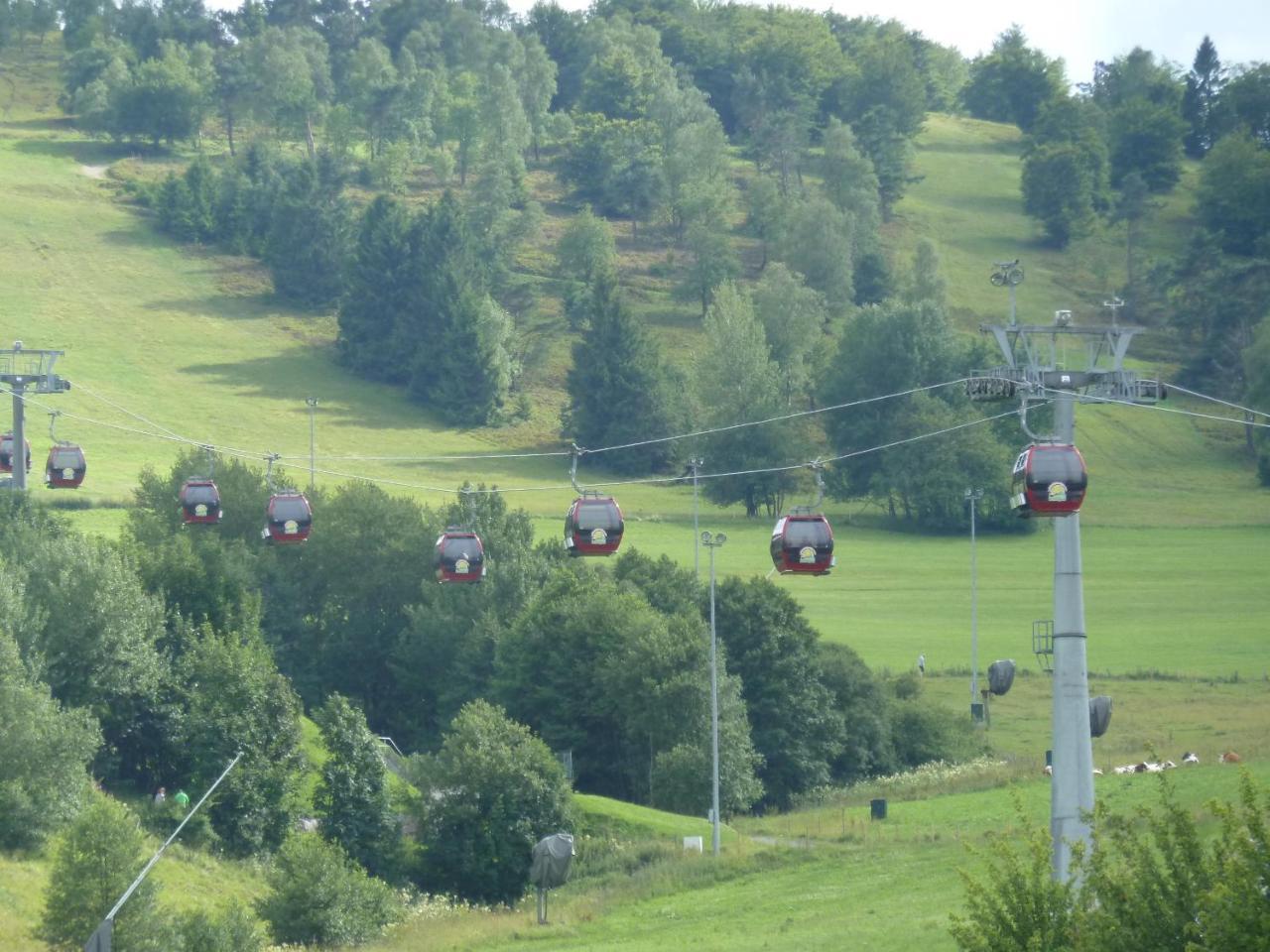 Pension Haus Waldfrieden, Meinecardplus Inklusive Willingen  Esterno foto