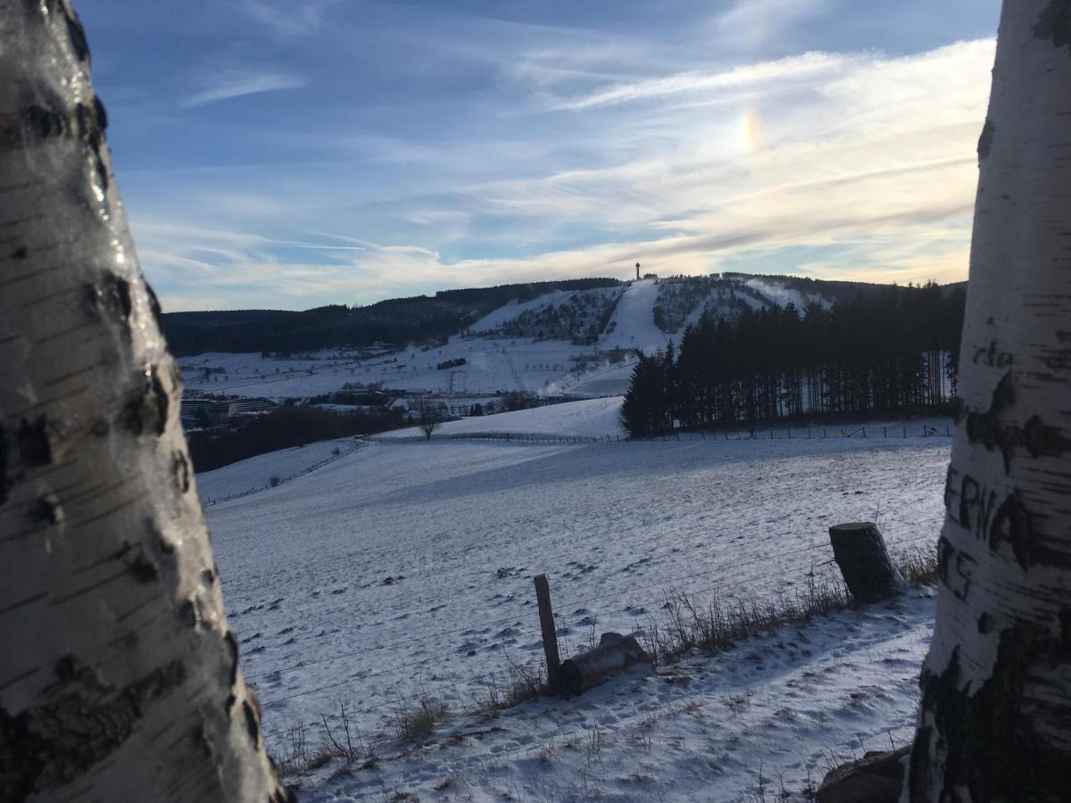 Pension Haus Waldfrieden, Meinecardplus Inklusive Willingen  Esterno foto