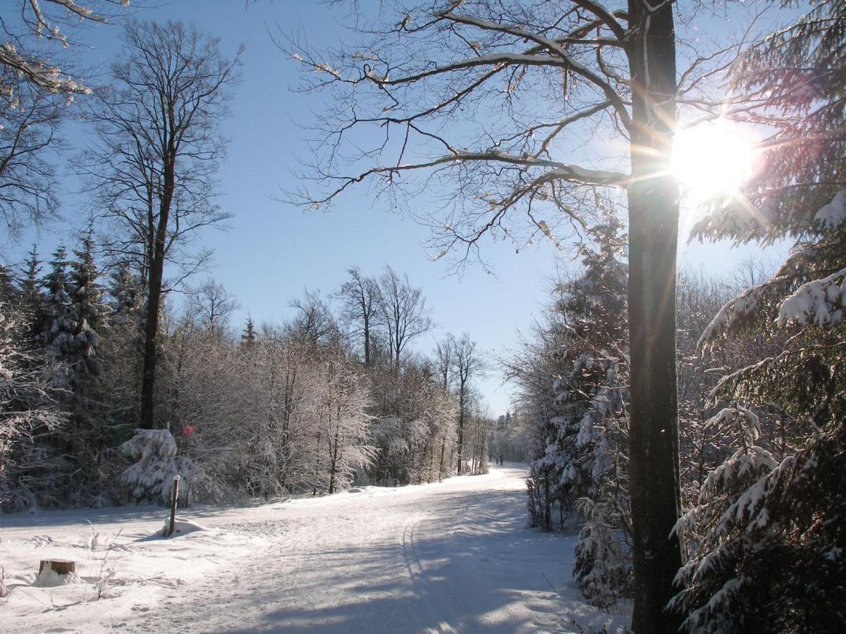 Pension Haus Waldfrieden, Meinecardplus Inklusive Willingen  Esterno foto